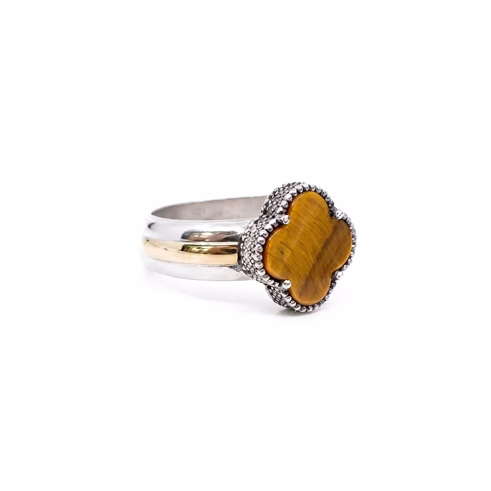 Anillo