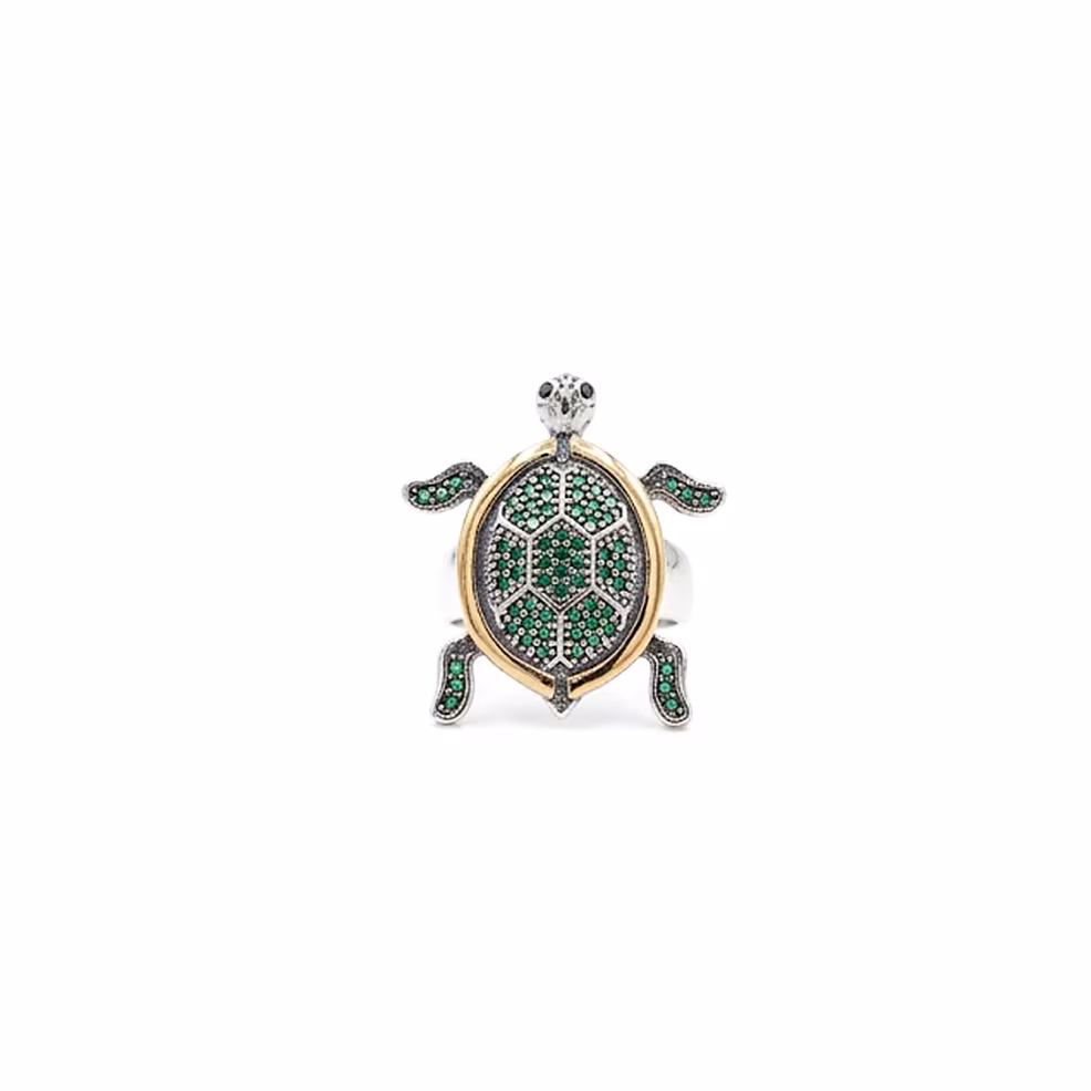 Anillo